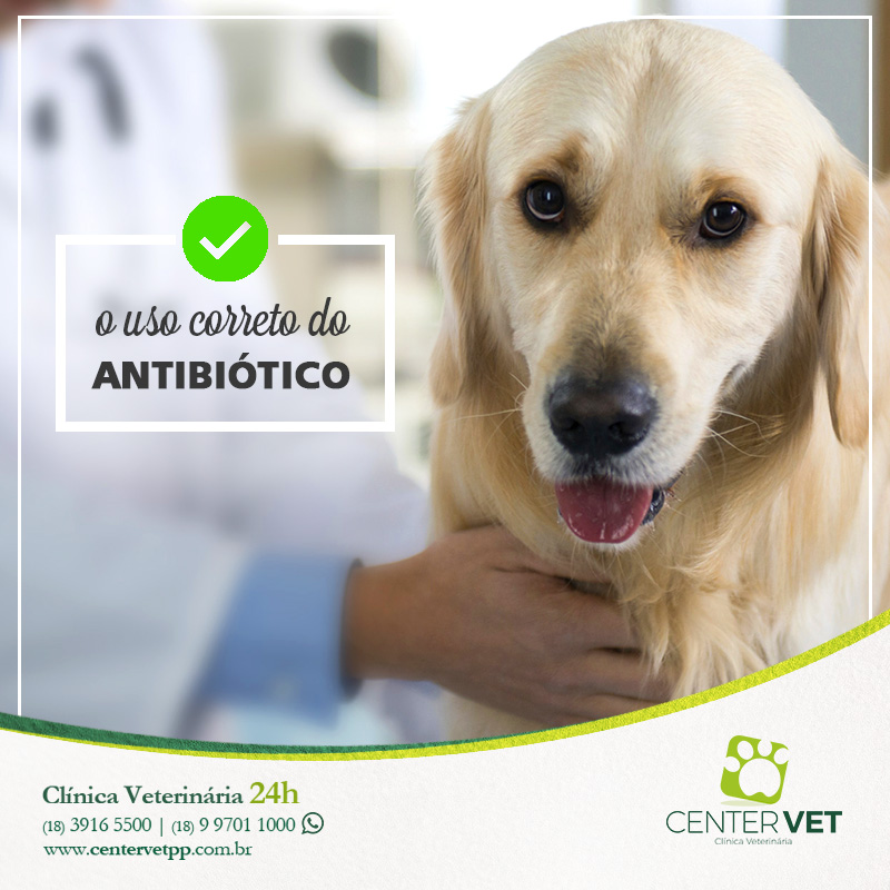 Antibiotico clinica Veterinaria 24 horas Presidente Prudente