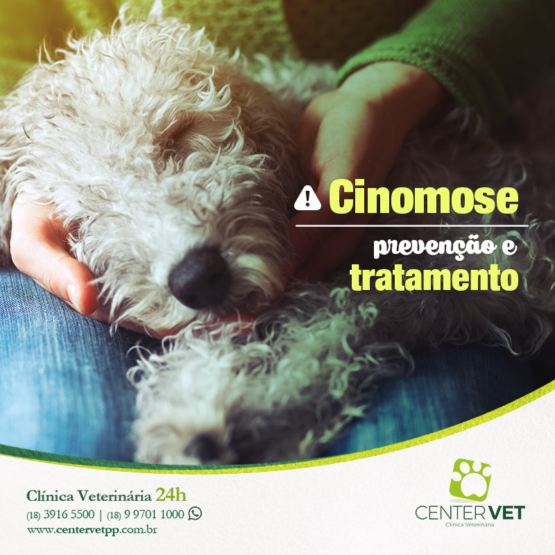 cinomose cachorro  caes veterinaria clinica Veterinaria 24 horas Presidente Prudente