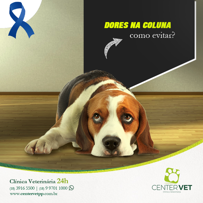 coluna caes veterinaria clinica Veterinaria 24 horas Presidente Prudente