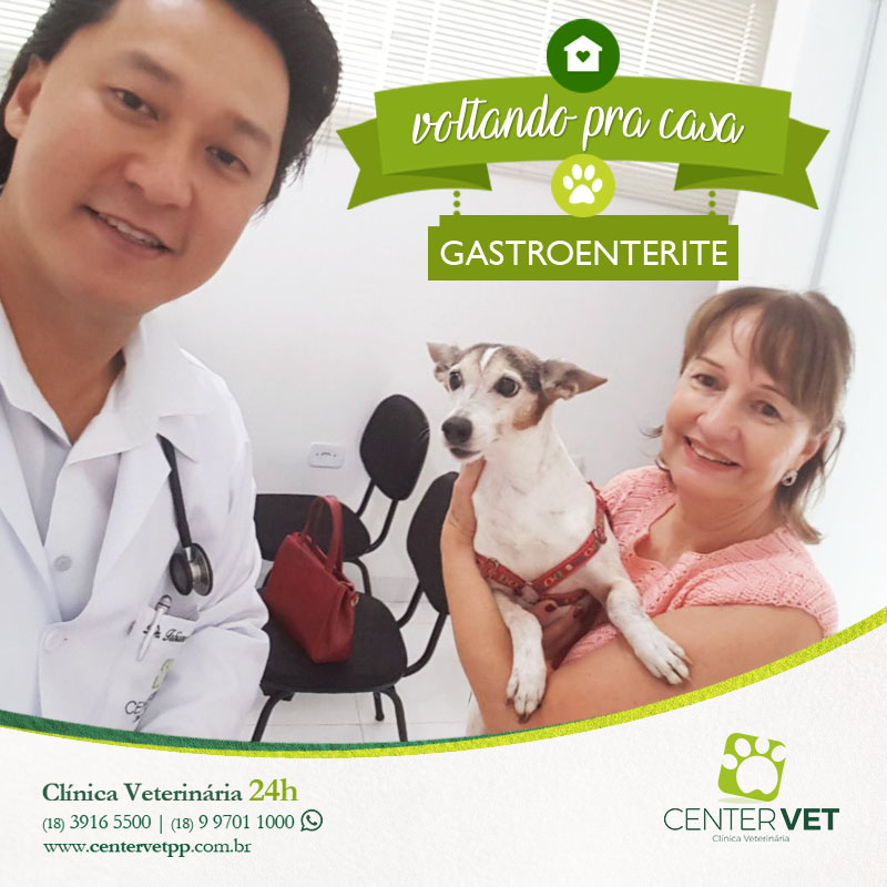 gastroenterite cachorro  caes veterinaria clinica Veterinaria 24 horas Presidente Prudente