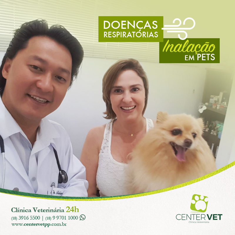 inalacao cachorro  caes veterinaria clinica Veterinaria 24 horas Presidente Prudente