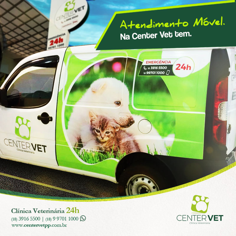 Táxi Dog Clinica Veterinaria 24 horas Presidente Prudente