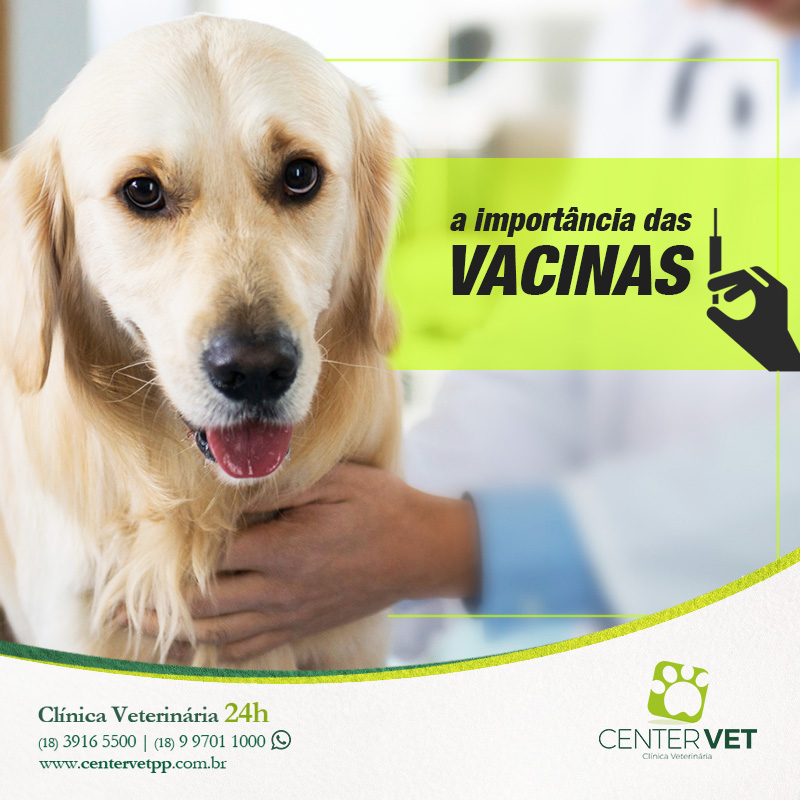 vacinas cachorro clinica Veterinaria 24 horas Presidente Prudente
